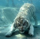 Іван Шпiрка фотография #3 (источник - https://vk.com/id137381582)