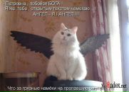 Фотография Кота Дмитрия