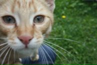 Фотография Малкиной Елены