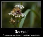 Фотография Кротова Александра