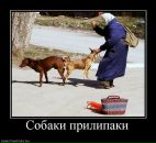 Дмитрий Гурьев фотография #20 (источник - https://vk.com/id813450)