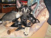 Фотография Щербаковой Юлии