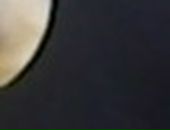 Андрей Трыков фотография #42 (источник - https://vk.com/id101422401)