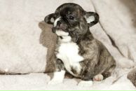 Фотография Ивановой Татьяны