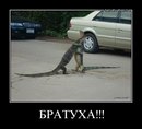 Сергій Шевчук фотография #30 (источник - https://vk.com/id132780151)