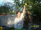 Фотография Пичкасовой Кристины