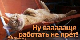 Фотография Дедеулевой Елены