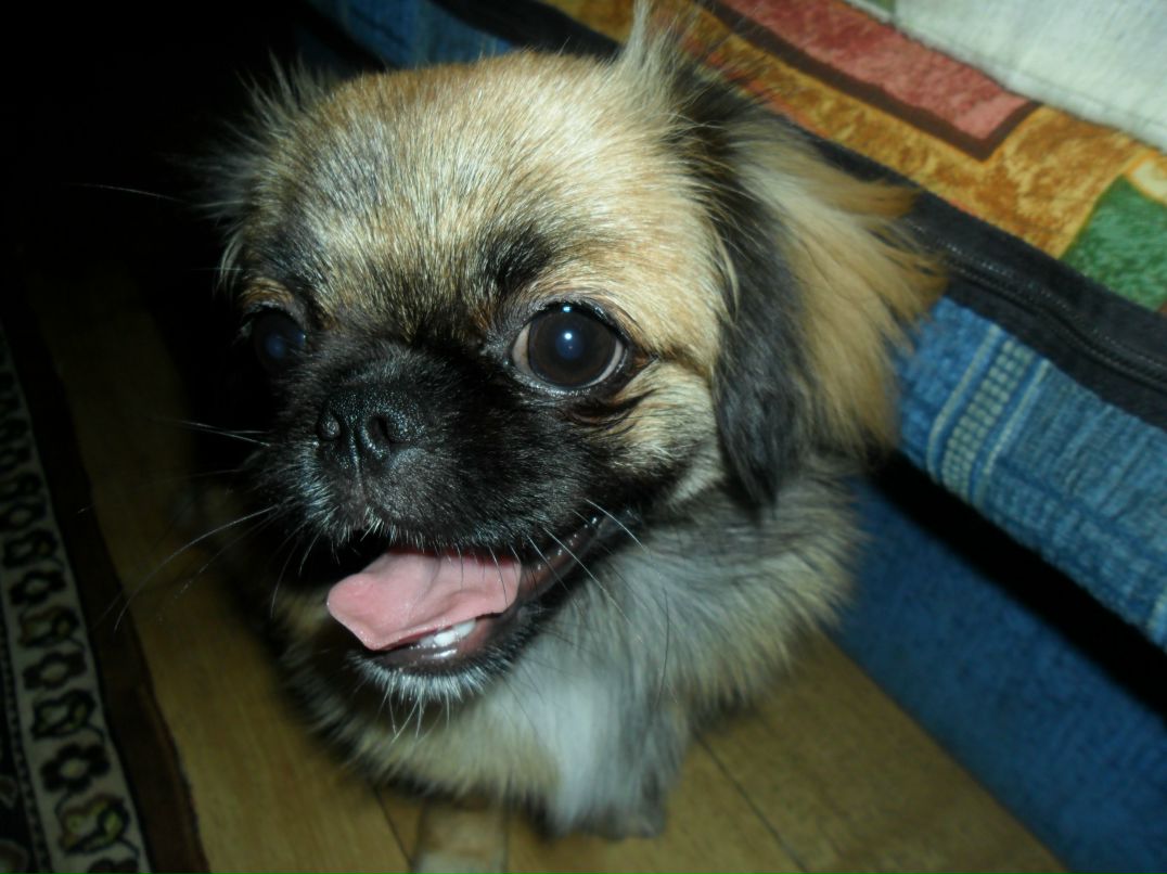 Saar Igor фотография #41