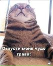 Максім Муренець фотография #46 (источник - https://vk.com/id157656794)