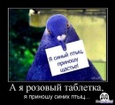 Фотография Ка Дениса