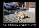 Віталя Хміль фотография #15 (источник - https://vk.com/id150278787)