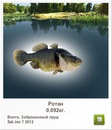 Катя Семенів фотография #10 (источник - https://vk.com/id150644712)