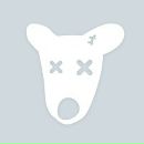 The Developer фотография #1