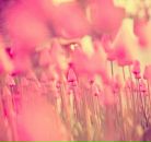 Фотография Беляевой Катерины