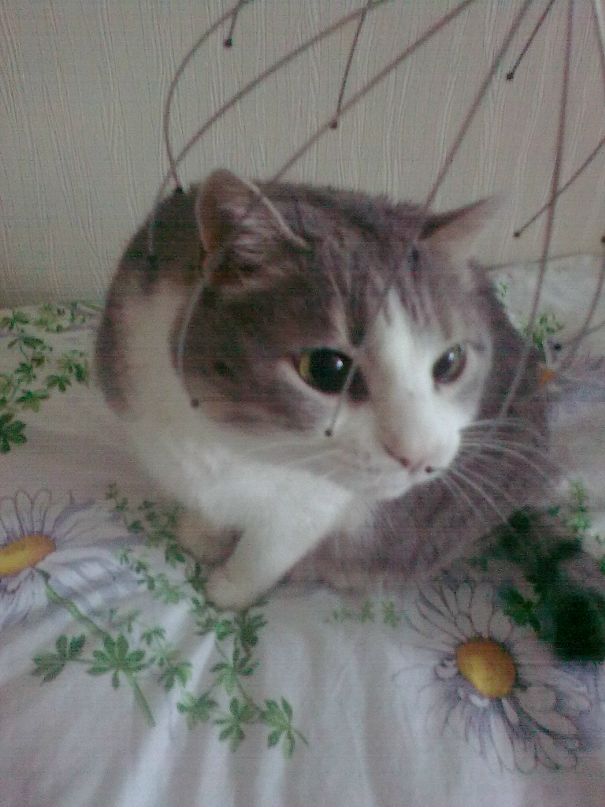 Лена Моненко фотография #18