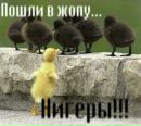 Міша Жолобчук фотография #40 (источник - https://vk.com/id135780781)