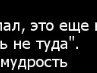 Андрій Котелюк фотография #15 (источник - https://vk.com/id39677692)