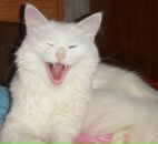 Фотография Мерзликиной Лены