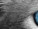 Ірма Полюга фотография #37 (источник - https://vk.com/id150481185)