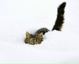 Фотография Юрьевны Дарьи