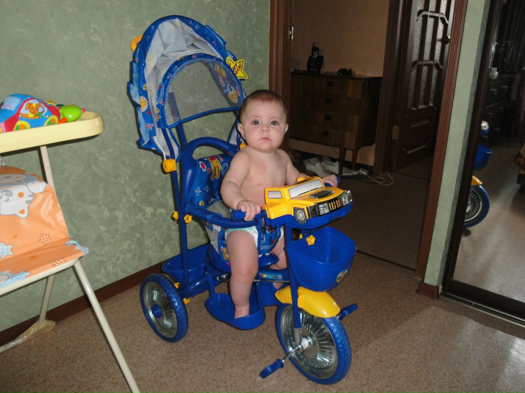 Дмитрий Шибаев фотография #28