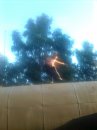 Олеся Фарфаліна фотография #17 (источник - https://vk.com/id33379811)