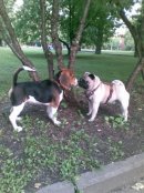 Антон Райский фотография #26 (источник - https://vk.com/id2139491)