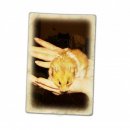 Алла Морозова фотография #21 (источник - https://vk.com/id15718196)