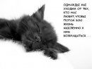 Маріанна Молованич фотография #8 (источник - https://vk.com/id144860892)