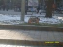 Маріанна Копинець фотография #44 (источник - https://vk.com/id41685795)
