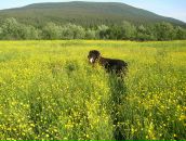 Фотография Парфеевец Марии