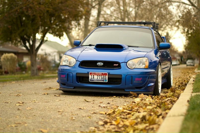 Кирилл Поляков фотография #25