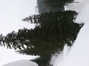 Лігерко Дмитро фотография #29 (источник - https://vk.com/id134888528)
