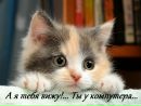 Ваня Олійник фотография #28 (источник - https://vk.com/id132048922)