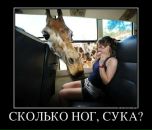 Фотография Смирнова Евгения