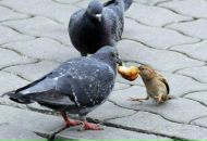 Onur Koç фотография #24 (источник - https://vk.com/id110792129)