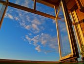 Фотография Гольдберг Юлии