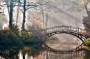 Світлана Іскрицька фотография #31 (источник - https://vk.com/id162858873)