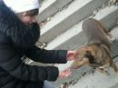 Сашенька Іванова фотография #27 (источник - https://vk.com/id137910974)
