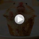 Ігор Совсунець фотография #32 (источник - https://vk.com/id159988693)