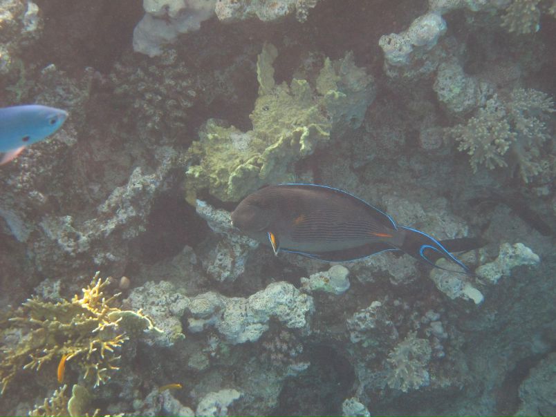 Борис Кишкилев фото №19