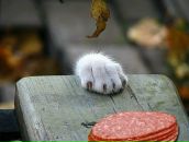 Фотография Седовой Юлианы