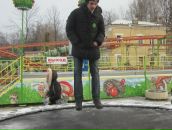 Фотография Гордона Иосифа