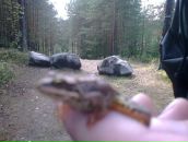 Фотография Васильевой Елены