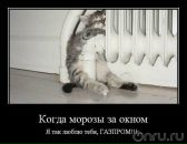 Фотография Чистякова Виталия