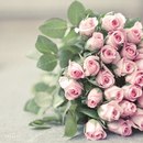 Любомира Гнідець фотография #21 (источник - https://vk.com/id15755352)