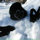 Надія Кошова фотография #9 (источник - https://vk.com/id164708444)