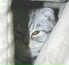 Фотография Аляевой Наташи