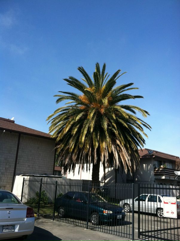 Федор Гончар фотография #13