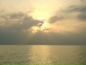 Фотография Aligerii Janis